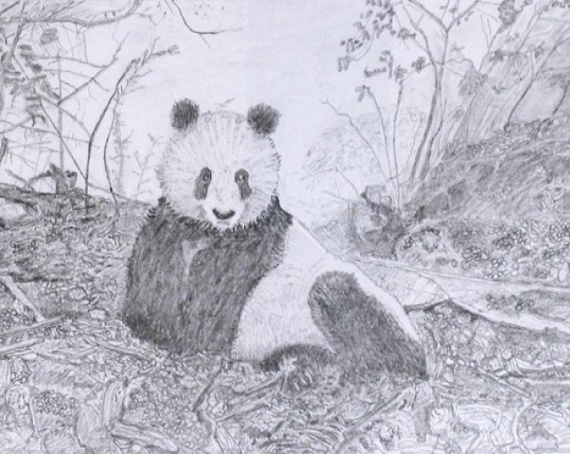 Panda Posing by Courtin